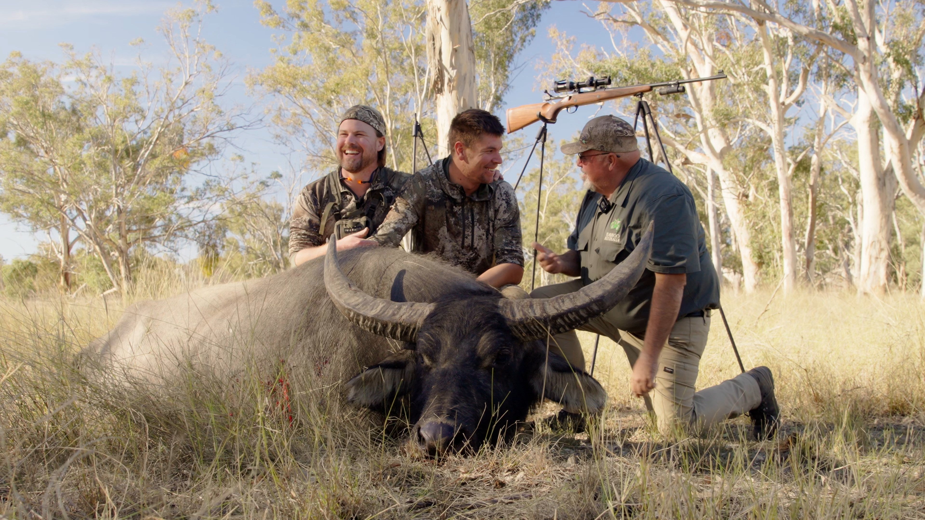 Stopping a Rogue Buffalo in Queensland