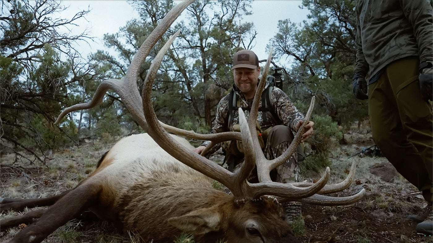 The Pursuit of the Golden Ticket