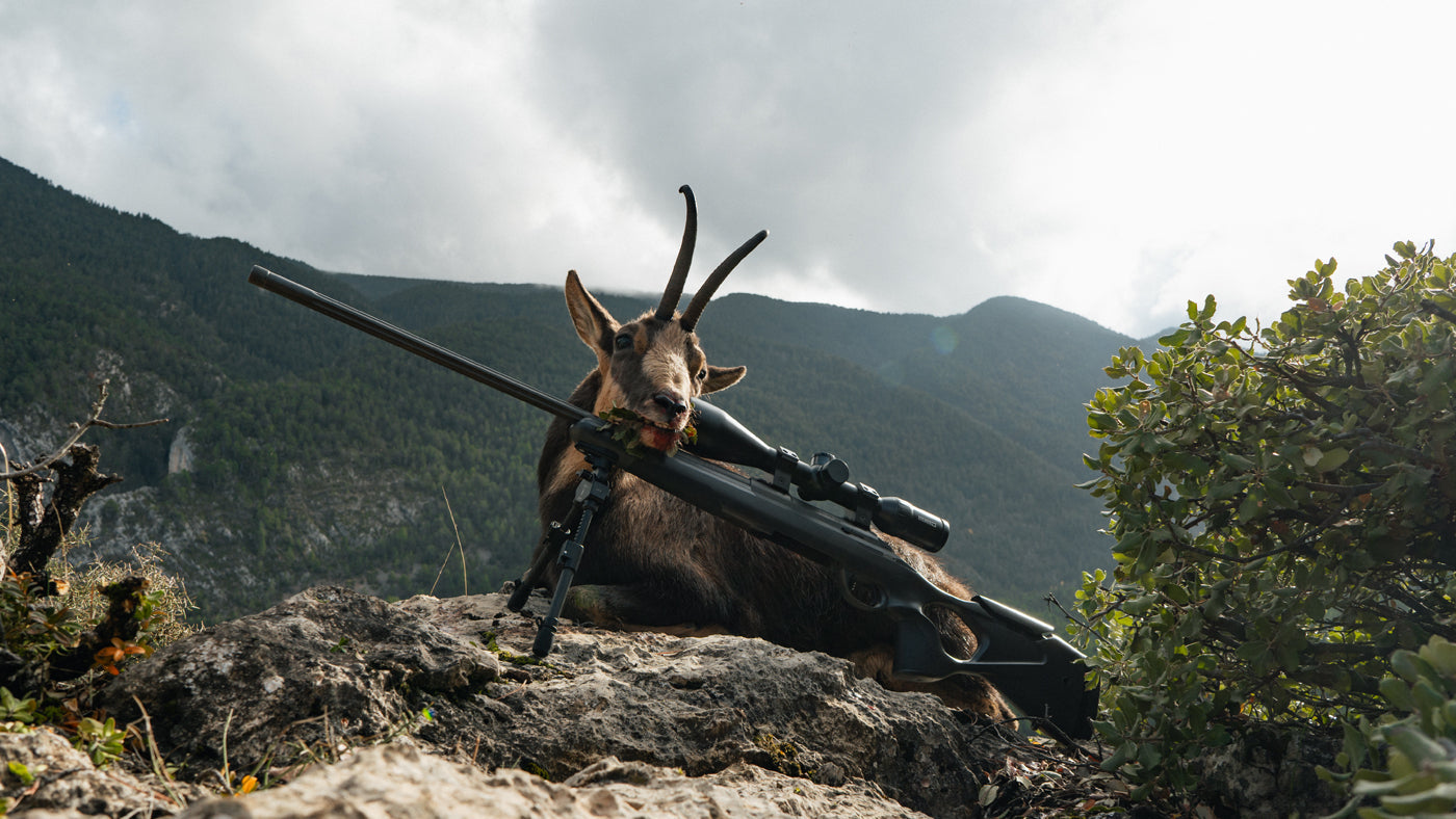 Mountains, Mentorship, and the Pyrenees