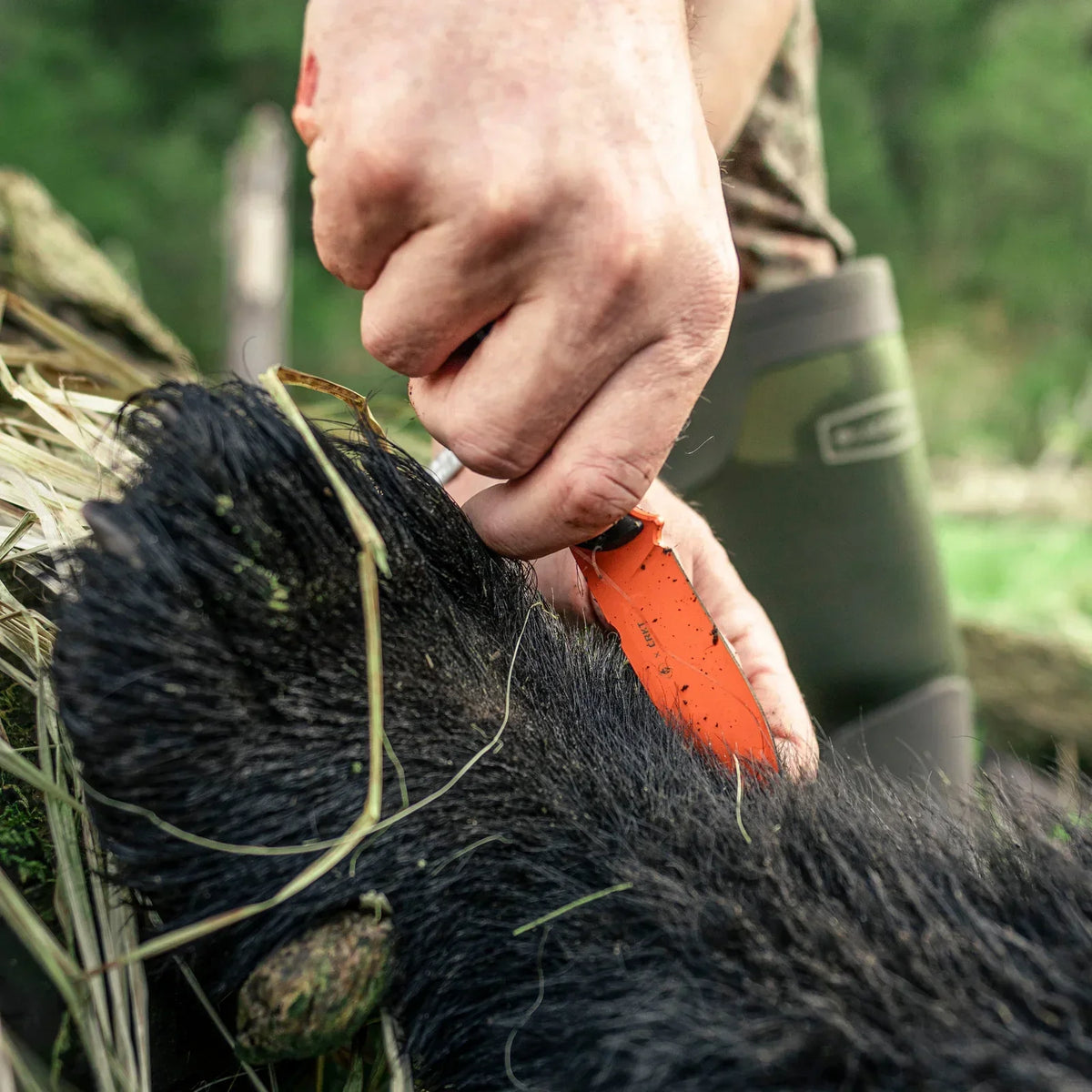 Altai Fixed Knife - Care Guide