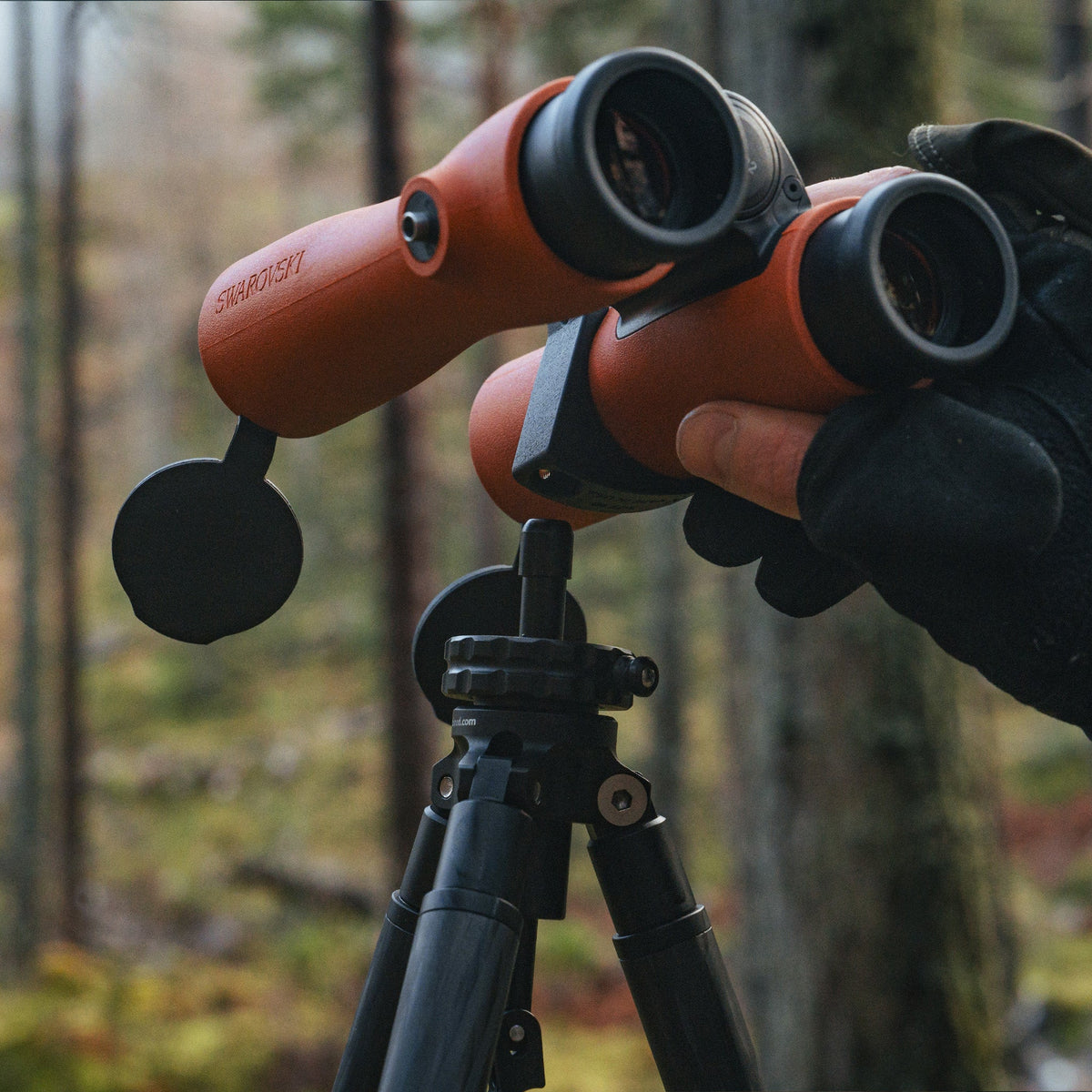 Binocular Tripod Adapter